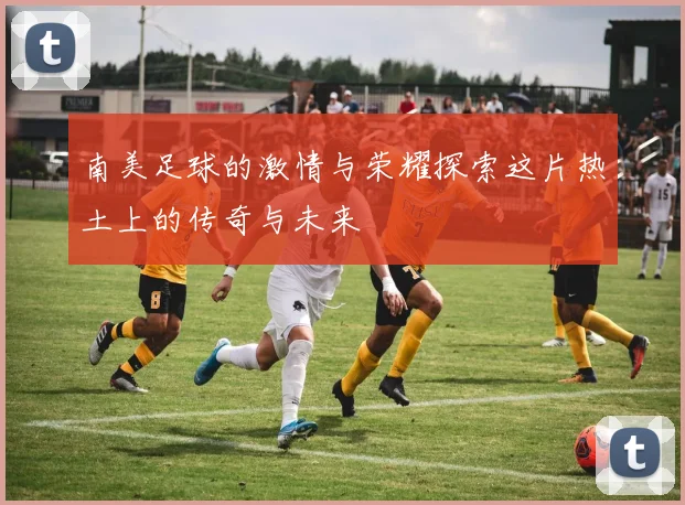南美足球的激情与荣耀探索这片热土上的传奇与未来