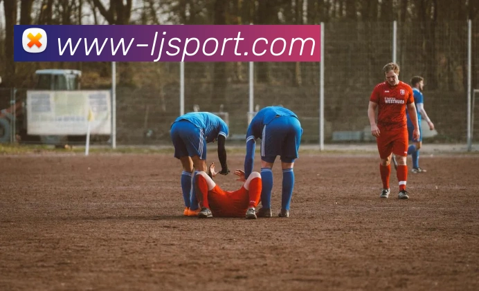 乐竞体育官方网站发展历程